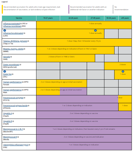 Immunization Schedule for Adults
